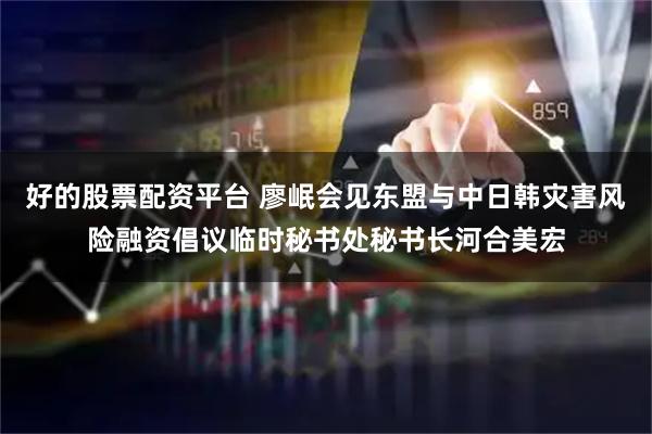 好的股票配资平台 廖岷会见东盟与中日韩灾害风险融资倡议临时秘书处秘书长河合美宏