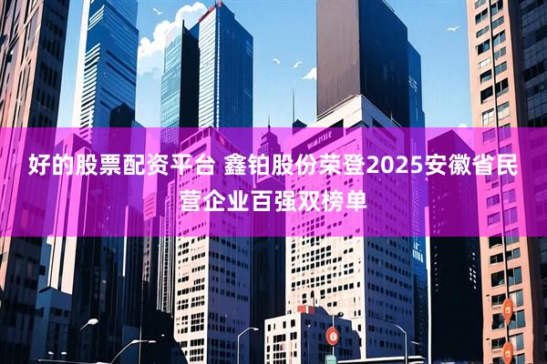 好的股票配资平台 鑫铂股份荣登2025安徽省民营企业百强双榜单